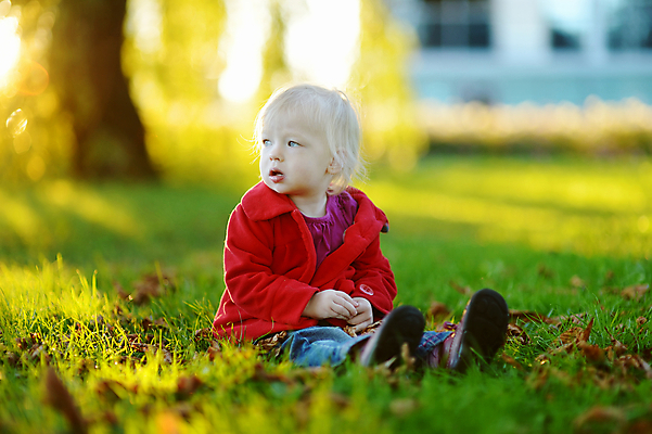 포토 JPG 해외이미지 나무 꽃 딸 어린이 잎 밭 자연 이끼 한명 앉기 목재 빨간색 버섯 산책 코트 아기 숲 수집 검색 내추럴 걸음마 땅바닥 옛날 해외포토 식물 1 컬러 농업 재료 가족 모션 휴식 바닥 사람 외투 생태계 파일형식 이미지허브