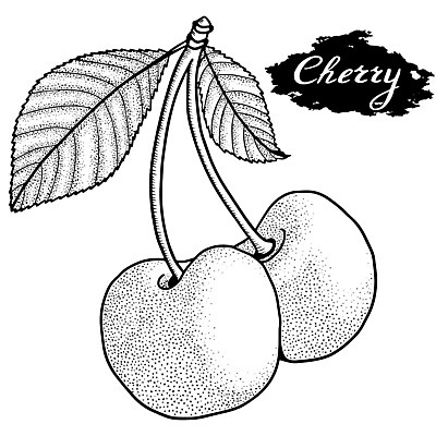 포토 JPG 해외이미지 식물 열매 선 음식 조각 백그라운드 잎 다이어트 과일 일러스트 자연 디저트 건강 미술 사람없음 그래픽 세트 정원 수확 흰색 신선 체리 달콤 맛 낙서 심볼 오브젝트 그림 유기농 복고 윤곽 손그림 판화 내추럴 고립 숙성 엘리먼트 채식주의자 해외일러스트 웰빙 컬러 컨셉 농업 문화예술 생태계 채식 파일형식 이미지허브