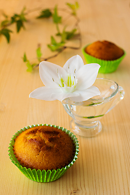 포토 JPG 해외이미지 꽃 음식 백그라운드 잎 재료 유리 탁자 디저트 옥수수 사람없음 목재 세로 초록색 케이크 흰색 신선 달콤 맛 아침식사 유혹 굽기 먹기 머핀 칼로리 페스츄리 핸드메이드 해외포토 나무 식물 빵 컬러 가구 컨셉 모션 재질 곡류 식사 구이 파일형식 이미지허브
