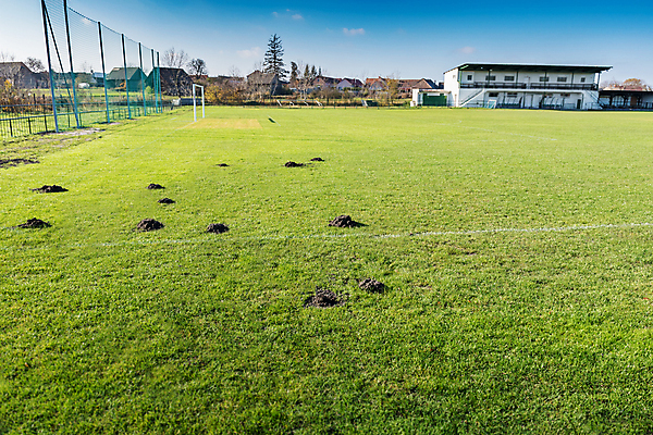 포토 JPG 해외이미지 지구 스포츠 밭 표면 잔디 사람없음 야외 초록색 빛 햇빛 축구 흙 독약 언덕 준비 먼지 점토 살인 두더지 해외포토 식물 컬러 농업 태양 구기 범죄 파일형식 이미지허브