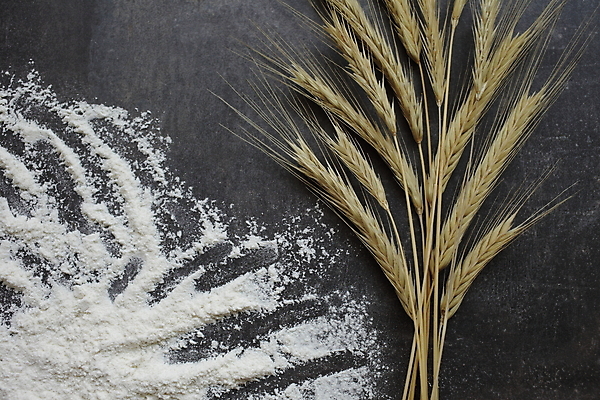 포토 JPG 해외이미지 식물 음식 빵 줄기 조각 백그라운드 농업 탁자 건강 옥수수 요리 씨앗 사람없음 농작물 우주 주방 빵집 회색 수확 흰색 시골 아침식사 낟알 시리얼 밀 다발 보따리 유기농 보리 귀 밀가루 밀짚 내추럴 숙성 제빵사 채식주의자 콘크리트 호밀 카피스페이스 귀리 해외포토 직업 웰빙 산업 컬러 가구 곡류 신체부위 상점 식사 공백 짚 가루 채식 파일형식 이미지허브