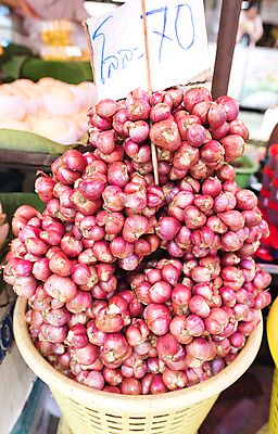 포토 JPG 해외이미지 식물 아시아 문화 음식 백그라운드 농업 다이어트 채소 재료 자연 양파 건강 요리 동양인 사람없음 빨간색 농작물 상점 흙 수확 신선 양념 그룹 시장 농부 먹기 허브 제비꽃 향신료 묘사 유기농 질감 뿌리 향료 파 슈퍼마켓 내추럴 매각 밭일 식용 인기 채식주의자 샬롯 해외포토 직업 웰빙 꽃 나라 산업 컬러 모션 인종 생태계 채식 향기 냄새 향미료 파일형식 이미지허브