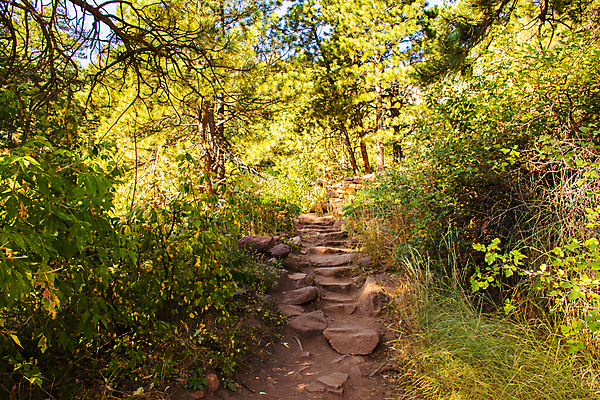 포토 JPG 해외이미지 나무 공원 길 단풍 잎 부분 자국 산 사람없음 야외 평화 걷기 계단 환경 미국 침묵 산책 하이킹 조약돌 소나무 황무지 큼 오솔길 오르기 먼지 지역 암초 루트 방법 사생활 콜로라도 해외포토 식물 공공시설 컨셉 북아메리카 모션 레저 휴식 소리 돌_바위 크기 파일형식 이미지허브