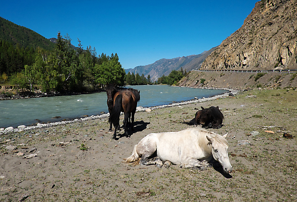 포토 JPG 해외이미지 나무 구름 공원 행복 백그라운드 캐나다 자연 하늘 휴가 휴식 산 풍경 사람없음 야외 목재 초록색 물 여름 강 뷰티 계곡 하이킹 바위 숲 속도 암초 전국 해외포토 자연요소 식물 계절 공공시설 감정 컬러 컨셉 북아메리카 재료 레저 돌_바위 생태계 파일형식 이미지허브