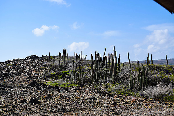 포토 JPG 해외이미지 공원 모래 파도 바다 섬 여행 백그라운드 자연 하늘 날씨 휴가 국립공원 풍경 사람없음 야외 물 여름 파란색 여행객 맑음 바위 동굴 내추럴 전국 해외포토 자연요소 계절 공공시설 컬러 사람 돌_바위 생태계 파일형식 이미지허브