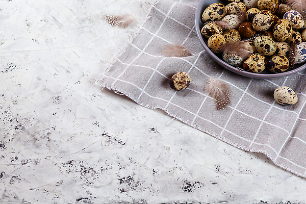 포토 JPG 해외이미지 전통 디자인 계절 행복 음식 백그라운드 컨셉 패턴 재료 자연 조류 휴가 건강 사람없음 장식 농장 갈색 우주 축제 치킨 봄 회색 수확 흰색 시골 축하 그룹 플랫 둥지 작음 먹기 심볼 깃털 유기농 질감 부활절계란 내추럴 메추리 콘크리트 해외포토 동물 웰빙 감정 컬러 무늬 농업 모션 부활절 계란 크기 생태계 닭고기요리 파일형식 이미지허브