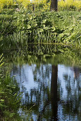 포토 JPG 해외이미지 나무 식물 공원 호수 백그라운드 잎 자연 하늘 휴식 잔디 사람없음 야외 초록색 물 파란색 반사 환경 맑음 침묵 봄 거울 흰색 시골 가장자리 숲 장면 서식지 배수구 대칭 파라다이스 해외포토 자연요소 계절 공공시설 컬러 컨셉 날씨 소리 둘레 생태계 파일형식 이미지허브