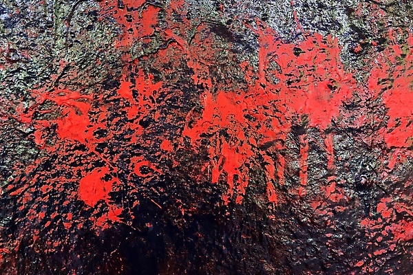 포토 JPG 해외이미지 디자인 벽 분홍색 백그라운드 컨셉 패턴 오렌지 자연 표면 추상 이끼 사람없음 빨간색 초록색 컬러풀 보라색 검은색 페인트 줄무늬 공백 수확 뜨거움 거친 떨어짐 그래피티 제비꽃 이젤 질감 복고 화가 숯 내추럴 그런지 땅바닥 옛날 콘크리트 해외포토 직업 꽃 컬러 무늬 농업 과일 바닥 미술도구 낙서 그림 생태계 파일형식 이미지허브