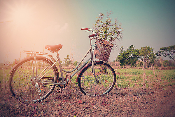 포토 JPG 해외이미지 라이프스타일 공원 행복 도로 스포츠 여행 백그라운드 잎 밭 자연 하늘 휴가 휴식 거리 건강 미술 성인 사람없음 야외 초록색 파란색 빛 햇빛 태양 뷰티 농장 유행 바구니 자전거 봄 기쁨 수확 신선 숲 복고 사이클링 옛날 해외포토 자연요소 식물 계절 공공시설 감정 길 컬러 컨셉 농업 교통시설 문화예술 사람 생활 바이크 육상스포츠 생태계 파일형식 이미지허브