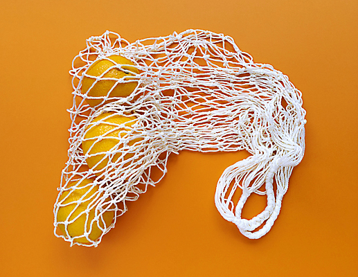 포토 JPG 해외이미지 오렌지 사람없음 자연보호 그린캠페인 담기 친환경제품 제로웨이스트 주황색배경 네트백 해외포토 캠페인 백그라운드 가방 과일 모션 자연 주황색 보호 사회이슈 친환경 파일형식 이미지허브