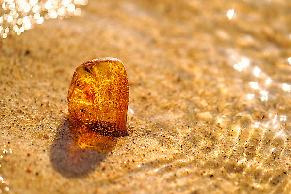 포토 JPG 해외이미지 자연 사람없음 빛 주황색 투명 보석 화석 앰버 해외포토 컬러 광석 생태계 파일형식 이미지허브