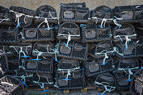 포토 JPG 해외이미지 실루엣 산업 밧줄 음식 벽 바다 패턴 자연 낚시 덴마크 어류 사람없음 쌓기 항구 수확 게 잡기 그물 어선 보트 바닷가재 해산물 상업 낚시꾼 철사 새장 포트 올가미 해외포토 줄 무늬 농업 배_교통 교통시설 모션 레저 촬영기법 북유럽 갑각류 수중동물 가재 생태계 케이지 파일형식 이미지허브