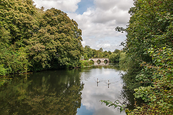 포토 JPG 해외이미지 사람없음 백조 옛날 해외포토 조류 파일형식 이미지허브