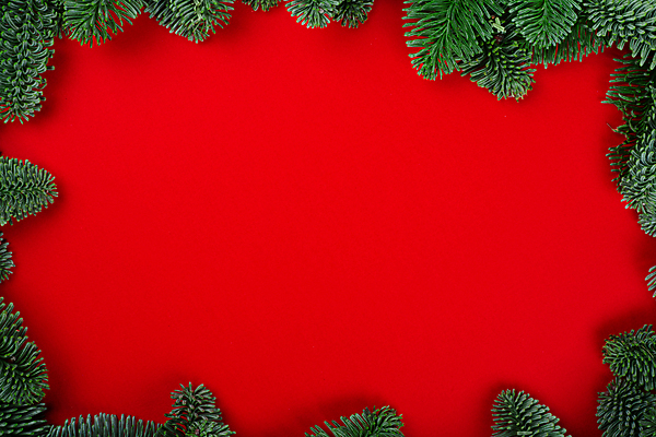 포토 JPG 해외이미지 나무 템플릿 디자인 배너 계절 행복 백그라운드 컨셉 크리스마스 겨울 휴가 새로움 프레임 사람없음 장식 빨간색 초록색 축제 화환 나뭇가지 축하 인사 소나무 신용카드 클래식 연도 초대 전나무 가문비나무 카피스페이스 해외포토 식물 기념일 꽃 감정 컬러 금융 공백 예절 파일형식 이미지허브