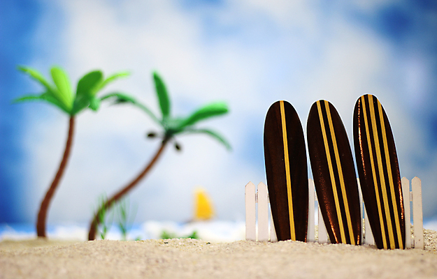 포토 JPG 해외이미지 나무 모래 바다 섬 여행 백그라운드 컨셉 자연 휴가 조개 손바닥 풍경 사람없음 야외 물 여름 야자수 봄 수확 판넬 서핑 사인 복고 코코넛 단절 파라다이스 해외포토 자연요소 식물 손 계절 농업 과일 어패류 수상스포츠 생태계 파일형식 이미지허브