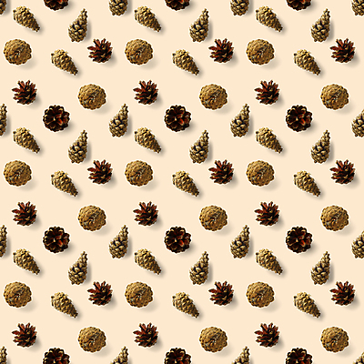 포토 JPG 해외이미지 패턴 사람없음 패턴백그라운드 솔방울 해외포토 백그라운드 무늬 파일형식 이미지허브