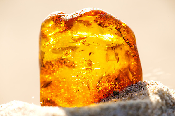 포토 JPG 해외이미지 자연 사람없음 빛 주황색 투명 보석 화석 앰버 해외포토 컬러 광석 생태계 파일형식 이미지허브