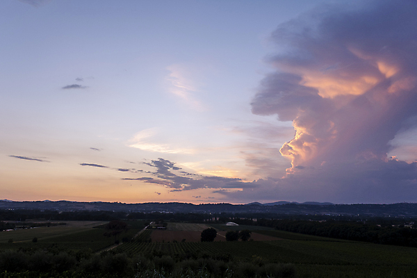 포토 JPG 해외이미지 나무 식물 계절 공원 유럽 여행 밭 농업 곡선 자연 하늘 휴가 주택 그림자 사람없음 야외 초록색 빛 햇빛 농장 농경지 일출 맑음 일몰 봄 이탈리아 시골 언덕 시에나 토스카나 수평선 해외포토 공공시설 나라 산업 선 컬러 날씨 건물 태양 노을 생태계 파일형식 이미지허브