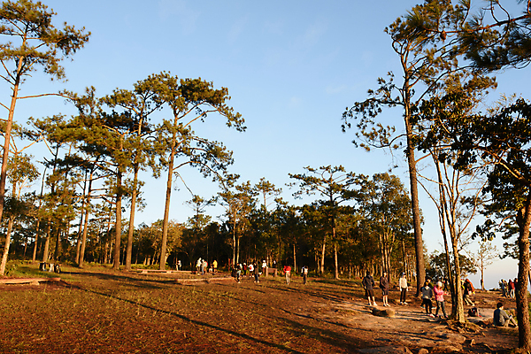 포토 JPG 해외이미지 구름 여행 밭 오렌지 태국 자연 하늘 아침 산 풍경 사람없음 야외 파란색 빛 햇빛 태양 여행객 일출 환경 새벽 안개 광선 황금 땅 언덕 상승 장면 지형 지역 흐림 내추럴 지리 해외포토 주간 자연요소 아시아 컬러 컨셉 농업 과일 날씨 사람 노을 생태계 파일형식 이미지허브