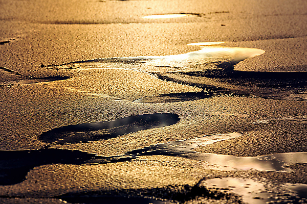 포토 JPG 해외이미지 호수 겨울 오렌지 자연 표면 사람없음 야외 물 햇빛 노란색 일출 환경 맑음 냉동 얼음 침묵 일몰 추위 연못 저녁 질감 서리 장면 해외포토 자연요소 계절 컬러 과일 날씨 태양 노을 소리 야간 생태계 파일형식 이미지허브