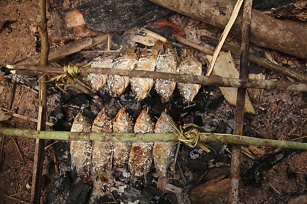 포토 JPG 해외이미지 아시아 음식 조류 거리 건강 육류 어류 요리 동양인 사람없음 저녁식사 치킨 꼬치 맛 그릴 굽기 라오스 해외포토 동물 나라 컨셉 식재료 주방용품 인종 식사 수중동물 구이 닭고기요리 파일형식 이미지허브