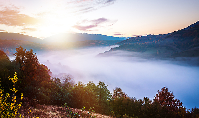 포토 JPG 해외이미지 나무 식물 자연 벽지 아침 산 풍경 사람없음 야외 빛 컬러풀 햇빛 태양 일출 환경 계곡 맑음 광선 시골 숲 언덕 그림 산악지대 생태학 해외포토 주간 자연요소 교육 컬러 날씨 노을 생태계 파일형식 이미지허브