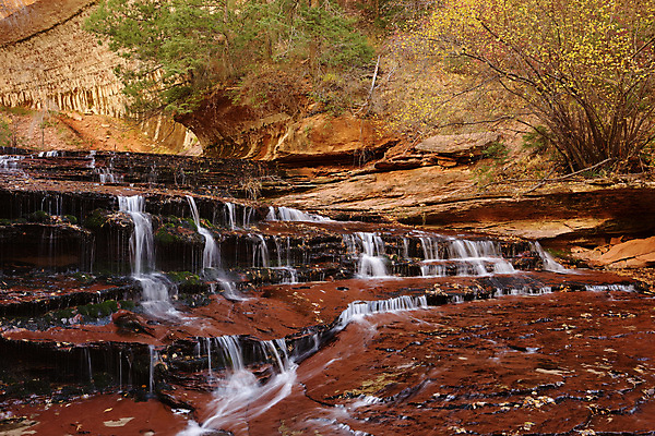 포토 JPG 해외이미지 공원 여행 패턴 자국 자연 휴가 따뜻함 풍경 사람없음 야외 빨간색 물 파란색 강 컬러풀 골짜기 계곡 미국 폭포 하이킹 사막 흐름 가을 바위 흰색 뜨거움 개울 황무지 떨어짐 사암 내추럴 시온산 해외포토 자연요소 계절 공공시설 컬러 컨셉 북아메리카 무늬 레저 돌_바위 생태계 파일형식 이미지허브