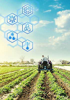 포토 JPG 해외이미지 식물 산업 과학 컨셉 밭 농업 채소 비즈니스 미래 감자 기술 한명 풍경 농장 농경지 환경 흙 수확 성장 보호 농부 수분 땅 준비 유기농 원예 충격 트랙터 개발 돌봄 밭일 업그레이드 영양소 해외포토 직업 1 웰빙 모션 사람 취미 농기계 특수차량 파일형식 이미지허브