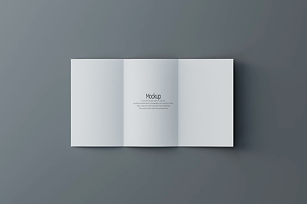 PSD 편집이미지 종이 회색배경 팜플렛 사람없음 한개 3D소스 3D 디지털합성 접지 목업 편집3D 1 리플렛 백그라운드 회색 파일형식