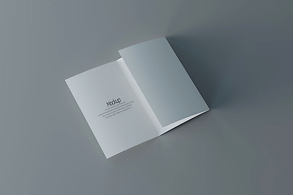 PSD 편집이미지 종이 회색배경 팜플렛 사람없음 한개 3D소스 3D 디지털합성 접지 목업 편집3D 1 리플렛 백그라운드 회색 파일형식