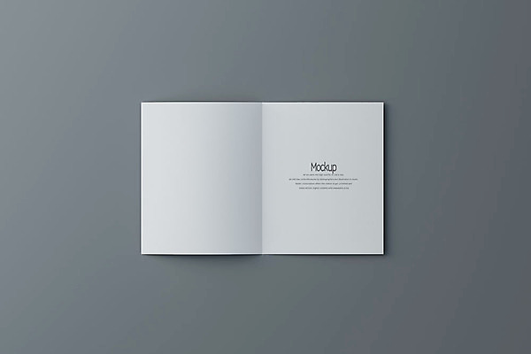 PSD 편집이미지 종이 회색배경 팜플렛 사람없음 한개 3D소스 3D 디지털합성 접지 목업 편집3D 1 리플렛 백그라운드 회색 파일형식