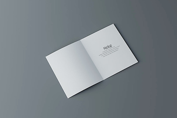 PSD 편집이미지 종이 회색배경 팜플렛 사람없음 한개 3D소스 3D 디지털합성 접지 목업 편집3D 1 리플렛 백그라운드 회색 파일형식