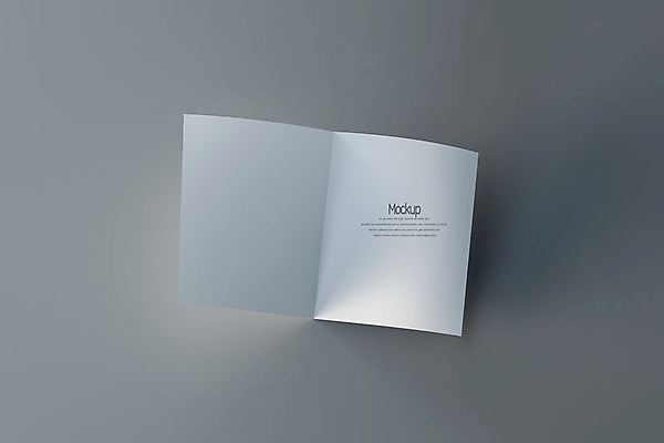 PSD 편집이미지 종이 회색배경 팜플렛 사람없음 한개 3D소스 3D 디지털합성 접지 목업 편집3D 1 리플렛 백그라운드 회색 파일형식