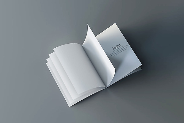 PSD 편집이미지 종이 회색배경 팜플렛 사람없음 한개 3D소스 3D 디지털합성 목업 편집3D 1 백그라운드 회색 파일형식