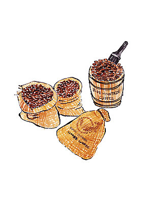 PSD 일러스트 수채화 사람없음 갈색 여러개 원두 번짐 자루 커피자루 국내일러스트 커피 컬러 다수 파일형식 효과