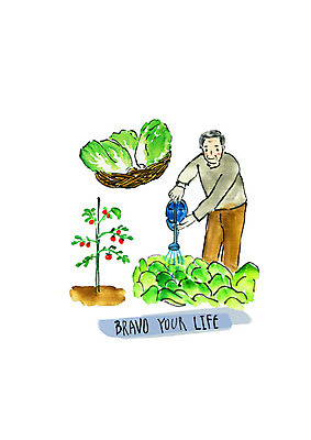 PSD 노년 남자 밭 일러스트 방울토마토 붓터치 수채화 한명 사람 상반신 취미 농장 농사 물뿌리개 배추 텃밭 노인남자한명만 국내일러스트 1 농업 토마토 채소 성인 남자한명만 노인남자만 파일형식