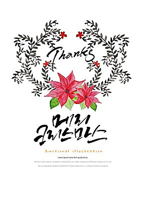 PSD 영어 꽃 잎 일러스트 캘리그라피 프레임 타이포그라피 한글 사람없음 감사 포인세티아 국내일러스트 식물 문자 감정 파일형식