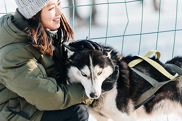 포토 JPG 주간 한마리 응시 여자 겨울 안기 한명 미소 사람 앉기 상반신 20대 성인 야외 옆모습 설원 한국인 눈 시베리안허스키 몽골 썰매개 썰매 개썰매 성인여자한명만 국내포토 자연요소 1 시선 계절 아시아 뷰포인트 모션 날씨 눈_날씨 표정 동양인 청년 개 여자한명만 성인여자만 파일형식