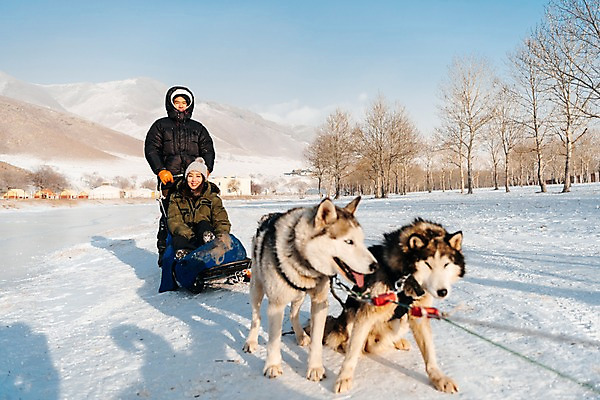 포토 JPG 주간 전신 나무 커플 응시 여자 남자 줄 겨울 산 서기 미소 사람 앉기 상반신 20대 성인 야외 두명 앞모습 30대 설원 한국인 눈 시베리안허스키 몽골 썰매개 썰매 개썰매 성인만 국내포토 자연요소 식물 시선 계절 아시아 뷰포인트 관계 모션 날씨 눈_날씨 표정 동양인 청년 장년 개 파일형식