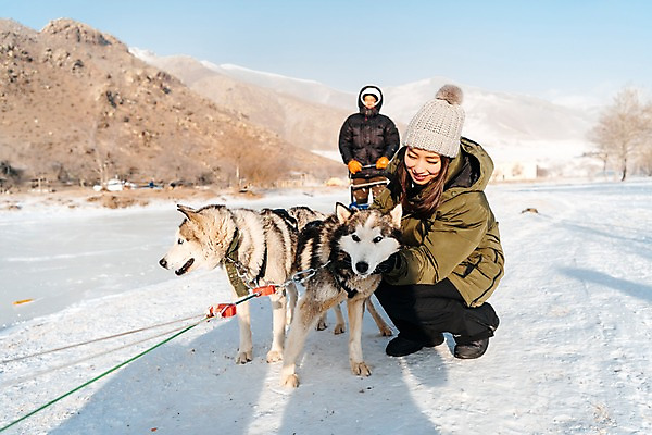포토 JPG 주간 전신 커플 응시 여자 남자 줄 겨울 산 미소 사람 상반신 20대 성인 야외 두명 앞모습 옆모습 30대 설원 한국인 눈 시베리안허스키 몽골 썰매개 썰매 개썰매 성인만 겨울풍경 국내포토 자연요소 시선 계절 아시아 뷰포인트 관계 날씨 눈_날씨 표정 동양인 풍경 청년 장년 개 파일형식