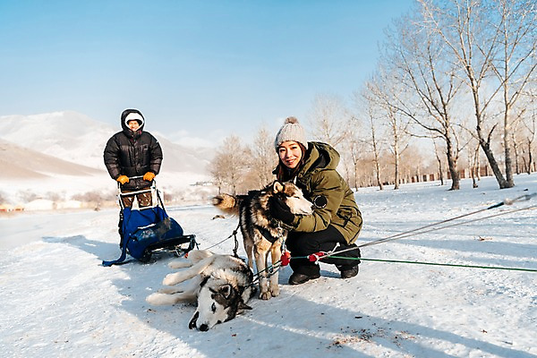포토 JPG 주간 전신 나무 커플 응시 여자 남자 줄 겨울 안기 서기 미소 사람 앉기 상반신 20대 성인 야외 두명 앞모습 옆모습 30대 설원 한국인 눈 시베리안허스키 몽골 썰매개 썰매 개썰매 성인만 쓰러짐 국내포토 자연요소 식물 시선 계절 아시아 뷰포인트 관계 모션 날씨 눈_날씨 표정 동양인 청년 장년 개 파일형식