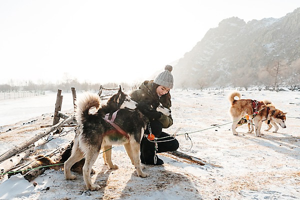 포토 JPG 주간 전신 나무 응시 여자 줄 겨울 여러마리 산 한명 사람 앉기 20대 성인 야외 옆모습 울타리 설원 한국인 눈 시베리안허스키 몽골 썰매개 개썰매 성인여자한명만 쓰다듬기 겨울풍경 국내포토 자연요소 식물 1 시선 계절 아시아 뷰포인트 다수 모션 날씨 눈_날씨 동양인 풍경 청년 담장 개 썰매 여자한명만 성인여자만 파일형식