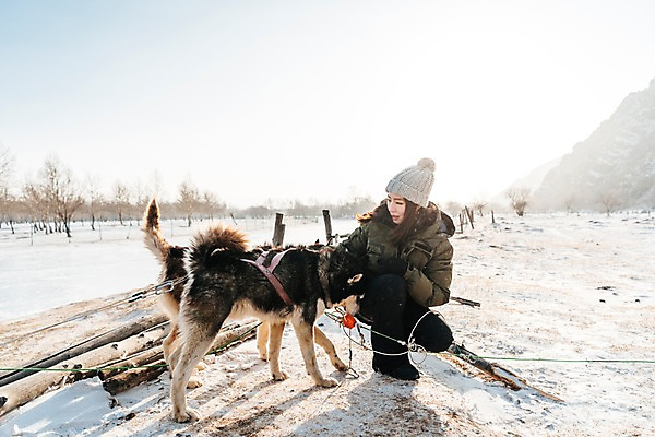 포토 JPG 주간 전신 나무 응시 여자 줄 두마리 겨울 한명 사람 앉기 20대 성인 야외 옆모습 설원 한국인 눈 시베리안허스키 몽골 썰매개 개썰매 성인여자한명만 쓰다듬기 겨울풍경 국내포토 자연요소 식물 1 시선 계절 아시아 뷰포인트 2 모션 날씨 눈_날씨 동양인 풍경 청년 개 썰매 여자한명만 성인여자만 파일형식