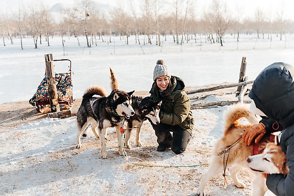 포토 JPG 주간 전신 커플 응시 여자 남자 겨울 미소 사람 상반신 20대 성인 야외 두명 앞모습 옆모습 30대 울타리 설원 한국인 눈 시베리안허스키 몽골 썰매개 즐거움 썰매 개썰매 성인만 쓰다듬기 국내포토 자연요소 시선 계절 감정 아시아 뷰포인트 관계 모션 날씨 눈_날씨 표정 동양인 청년 장년 담장 개 파일형식