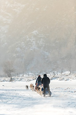 포토 JPG 주간 전신 남자 겨울 산 서기 사람 동양인 20대 성인 야외 두명 뒷모습 30대 달리기 설원 한국인 눈 시베리안허스키 몽골 썰매개 썰매 개썰매 성인남자만 겨울풍경 국내포토 자연요소 계절 아시아 뷰포인트 모션 날씨 눈_날씨 인종 풍경 청년 장년 개 남자만 성인만 파일형식