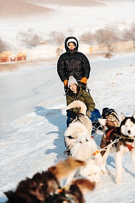 포토 JPG 주간 커플 응시 여자 남자 장갑 겨울 여러마리 서기 미소 사람 앉기 상반신 20대 성인 야외 두명 30대 달리기 설원 점퍼 한국인 눈 시베리안허스키 몽골 썰매개 썰매 개썰매 성인만 국내포토 자연요소 시선 잡화 계절 아시아 다수 관계 모션 날씨 눈_날씨 표정 동양인 청년 장년 외투 개 파일형식