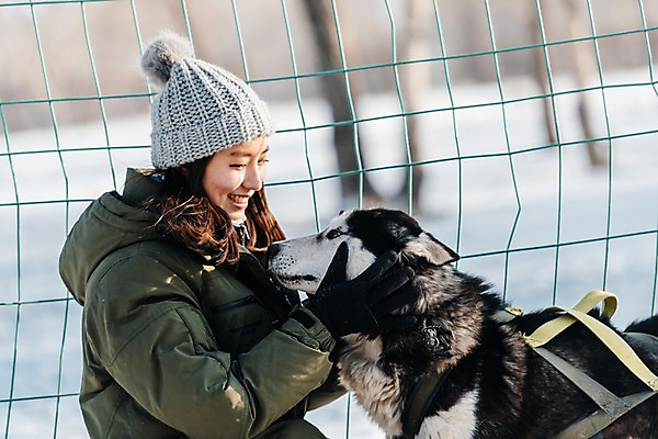 포토 JPG 주간 한마리 응시 여자 겨울 안기 한명 미소 사람 상반신 20대 성인 야외 옆모습 설원 한국인 눈 시베리안허스키 몽골 썰매개 개썰매 성인여자한명만 국내포토 자연요소 1 시선 계절 아시아 뷰포인트 모션 날씨 눈_날씨 표정 동양인 청년 개 썰매 여자한명만 성인여자만 파일형식