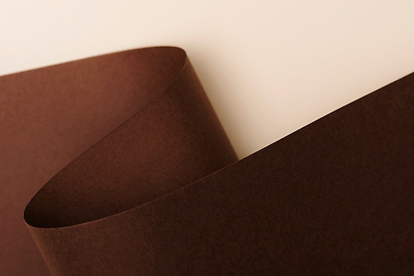 포토 JPG 스튜디오촬영 종이 백그라운드 실내 사람없음 하이앵글 갈색 오브젝트 도화지 색지 말린_둥글게 플랫레이 카피스페이스 국내포토 뷰포인트 컬러 컨셉 내부 공백 플랫 파일형식