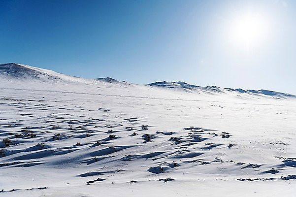 포토 JPG 주간 해외풍경 설경 겨울 자연 하늘 풍경 사람없음 야외 햇빛 설원 눈 몽골 겨울풍경 국내포토 자연요소 해외 계절 아시아 날씨 눈_날씨 태양 생태계 파일형식