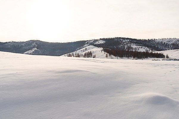 포토 JPG 주간 나무 해외풍경 설경 겨울 자연 하늘 풍경 사람없음 야외 설원 눈 몽골 겨울풍경 국내포토 자연요소 식물 해외 계절 아시아 날씨 눈_날씨 생태계 파일형식